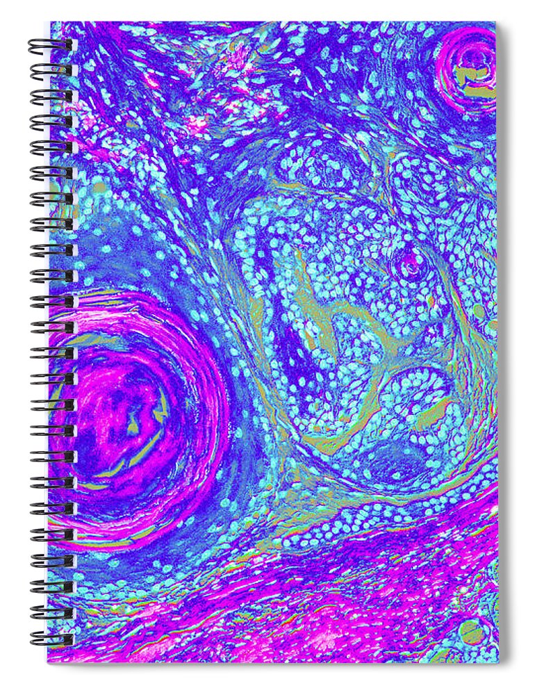 Animal Cell Note Pads For Veterinary Students