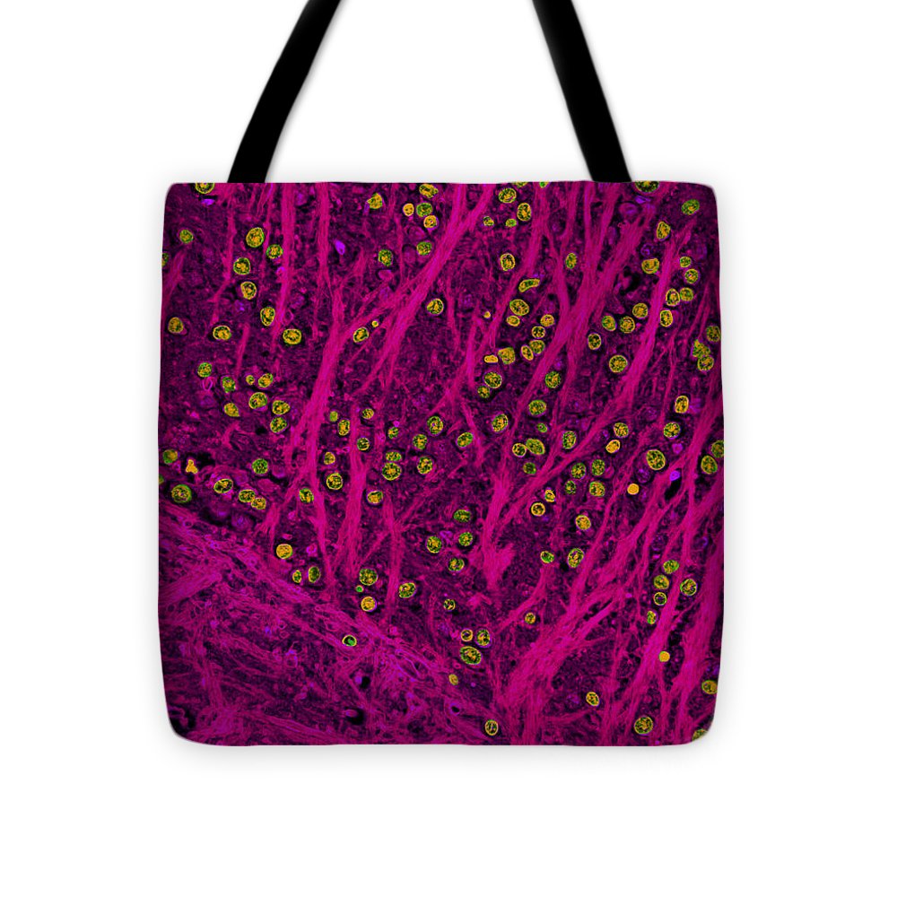 Animal Cell Tote Bags For Animal Science Lovers
